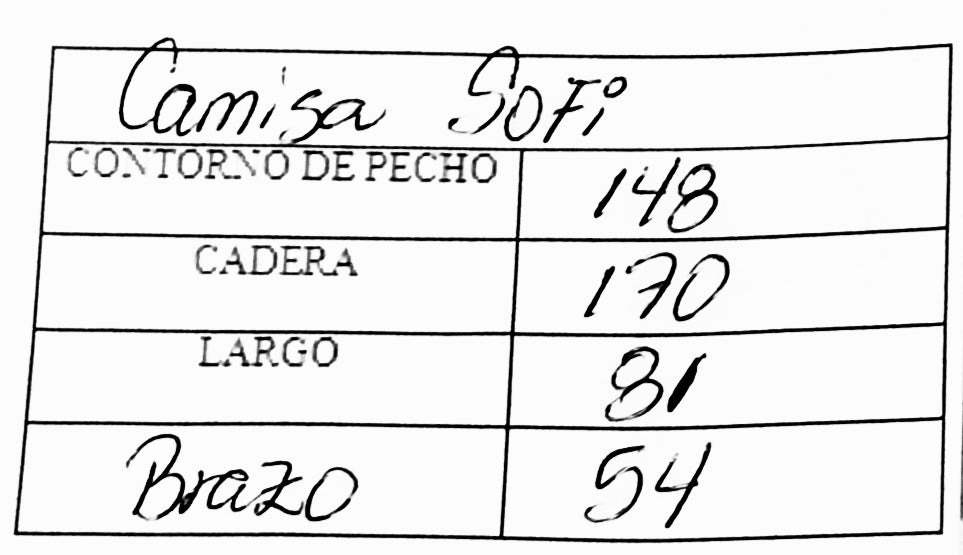 Camisa Sofi