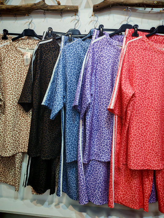 Conjunto Animal M. C