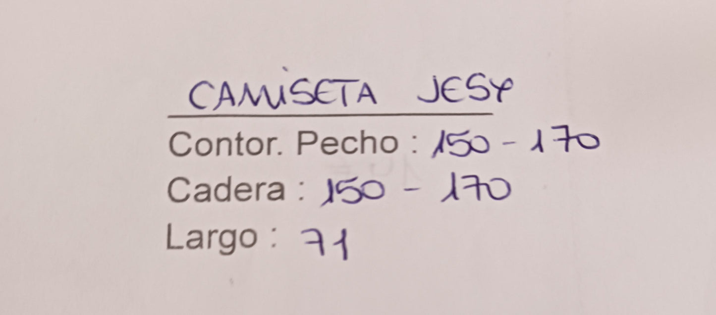 Camiseta Jesy
