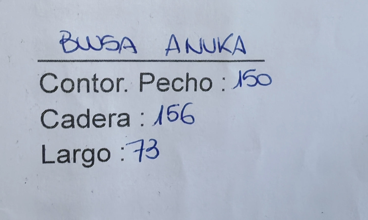 Blusa anuka